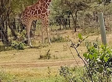 kenya/northern-frontier-district/landmark/mugie-headquarters