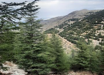 lebanon/al-shouf-cedar-nature/landmark/barouk-reserve