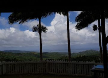 barbados/scotland-district/landmark/welchman-hall-gully
