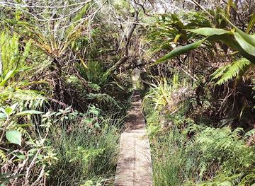 mayotte/pamandzi/landmark/pamoja