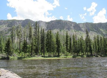 Yellowstone National Park Sign