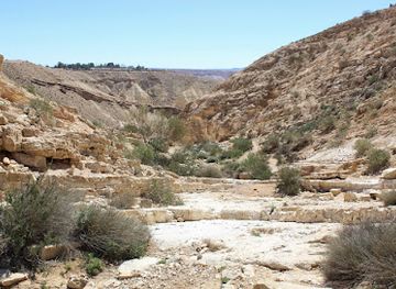 israel/negev/landmark/visiting-negev-local-guide-to-the-negev