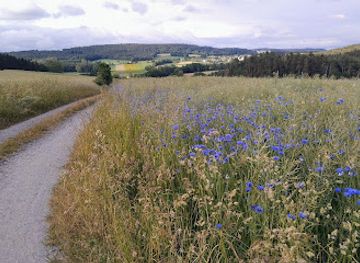 germany/oberpfälzer-wald/landmark/hessenreuther-wald