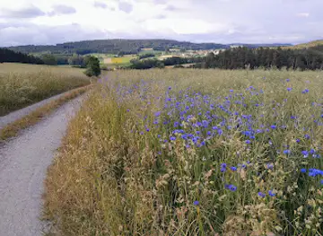 Hessenreuther Wald