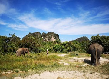 thailand/krabi-province/landmark/krabi-elephant-sanctuary