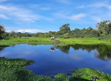 sri-lanka/wilpattu-national-park/landmark/wasgamuwa-national-park