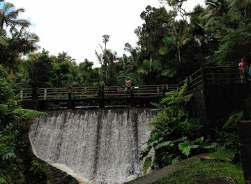 puerto-rico/yunque-national-forest/landmark/torre-mount-britton-trailhead