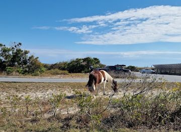 maryland/assateague-island-national-seashore/landmark/assateague-island-national-seashore-entrance-station