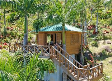 puerto-rico/yunque-national-forest/landmark/yuquiyu-treehouses