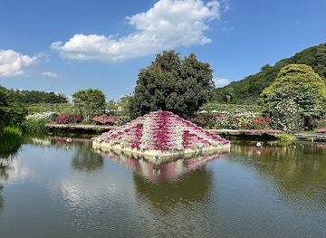 japan/shimotsuke/landmark/ashikaga-flower-park