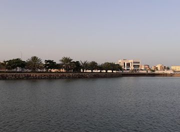 djibouti/tadjourah-region/landmark/village-haramous-djibouti