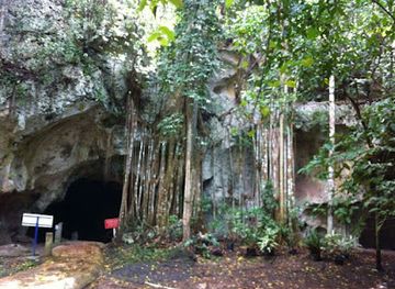 jamaica/north-coast/landmark/green-grotto-caves