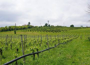 italy/monferrato/landmark/farm-bottazza