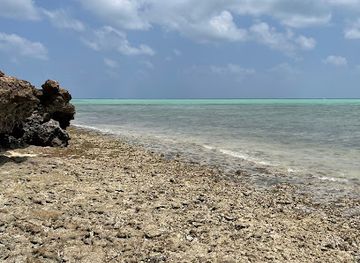 djibouti/godoria-mangrove/landmark/plage-de-la-mangrove