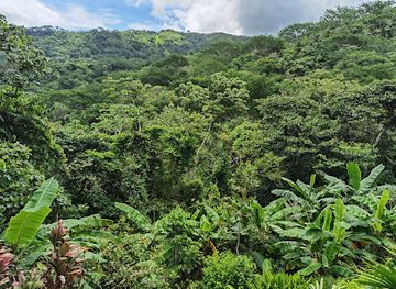 costa-rica/nicoya-peninsula/landmark/reserva-natural-monte-alto