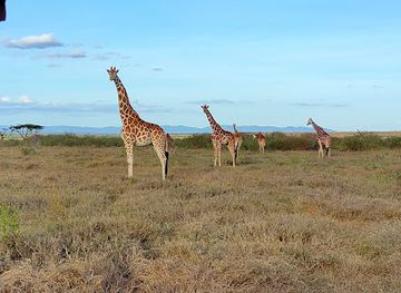 kenya/laikipia-plateau/landmark/mugie-headquarters