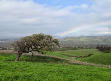 california/livermore/landmark/sycamore-grove-park