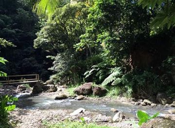 saint-lucia/pitons/landmark/new-jerusalem-baths-tour