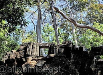 laos/phakse-province/landmark/wat-tomo