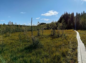 finland/oulu/landmark/pilpasuo