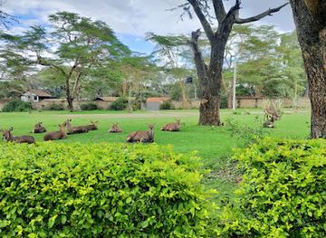 kenya/naivasha/landmark/lake-naivasha-country-club