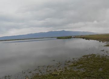 mongolia/khar-nuur/landmark/khar-us-nuur-bird-watch-tower