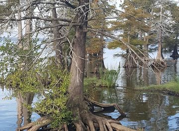 louisiana/caddo-lake/landmark/earl-g-williamson-park