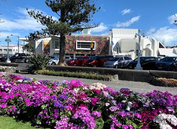 new-zealand/napier/landmark/mtg-hawke-s-bay