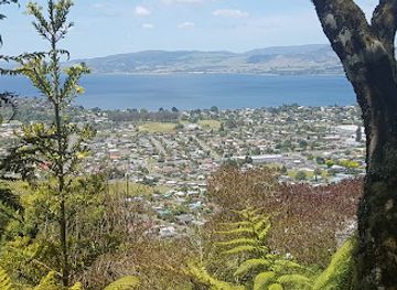new-zealand/bay-of-plenty/landmark/mount-ngongotaha-scenic-reserve