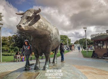 chile/osorno/landmark/plaza-de-armas-de-osorno