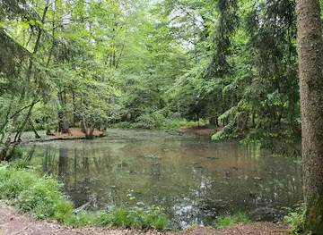Ententeich im Bremgartenwald