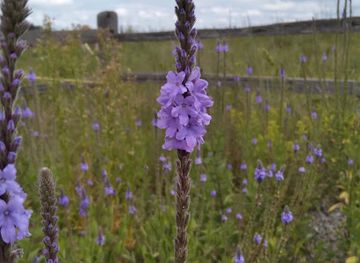 minnesota/saint-cloud/landmark/st-cloud-historic-marker