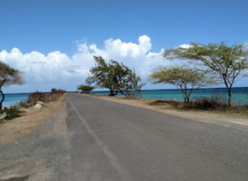 puerto-rico/vieques-island/landmark/rompeolas-vieques