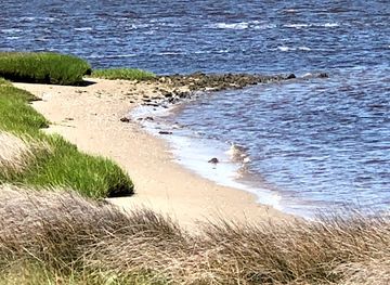 north-carolina/cape-fear-coast/landmark/brunswick-town-fort-anderson-state-historic-site