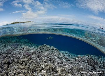 french-polynesia/rangiroa/landmark/topdive-rangiroa