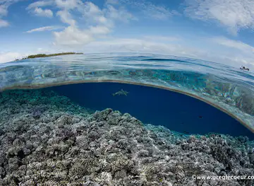 Topdive Rangiroa