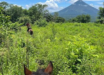 nicaragua/ometepe-island/landmark/hari-s-horses