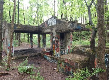 pennsylvania/allegheny-national-forest/landmark/scotia-barrens