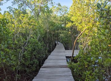 cambodia/kep-province/landmark/o-krosar-community