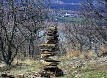 hungary/balaton-uplands-national-park/landmark/lavender-field