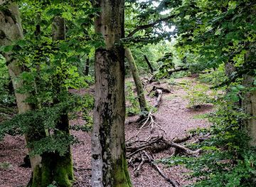 sweden/skane/landmark/ostra-kullaberg