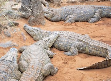 kenya/tsavo-region/landmark/nairobi-mamba-village