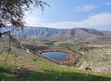 jordan/mujib-nature-reserve/landmark/yarmouk-nature-reserve