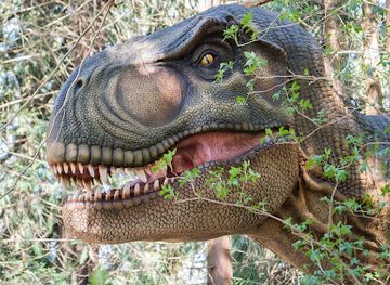 denmark/zealand/attraction/knuthenborg-safaripark