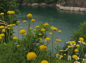 turkiye/mediterranean-region/landmark/khaled-alhuzaimi-place