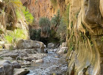 jordan/balqa-highlands/landmark/wadi-bin-hammad