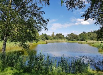 switzerland/thurgau/landmark/marwiler-riet