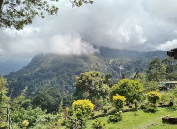 sri-lanka/ella/landmark/ellatuk-tuk-safari-with-raale