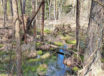austria/waldviertel/landmark/schremser-gleggmire-hochmoor-nature-park