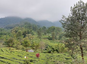 indonesia/west-java/landmark/museum-pabrik-teh-walini-perkebunan-teh-gunung-mas